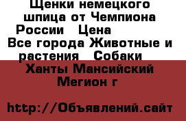 Щенки немецкого шпица от Чемпиона России › Цена ­ 50 000 - Все города Животные и растения » Собаки   . Ханты-Мансийский,Мегион г.